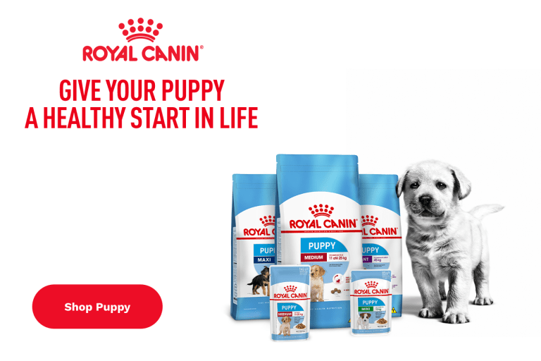 Royal canin shop pet store